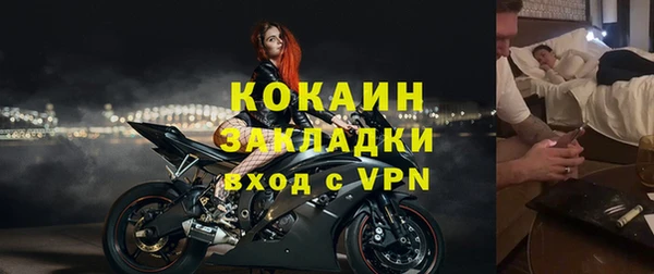 сатива Аркадак