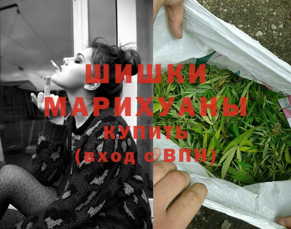 МДПВ Пестово