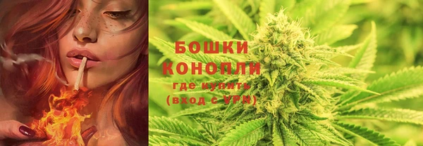 круглые Пересвет
