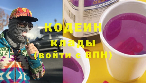 круглые Пересвет