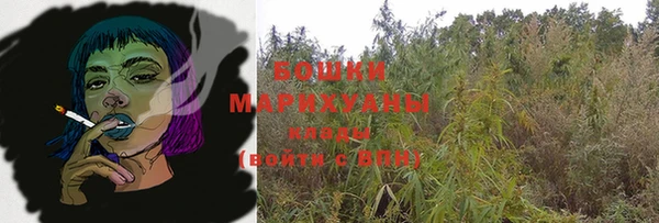 сатива Аркадак