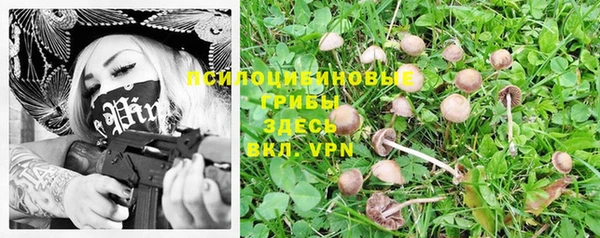 сатива Аркадак