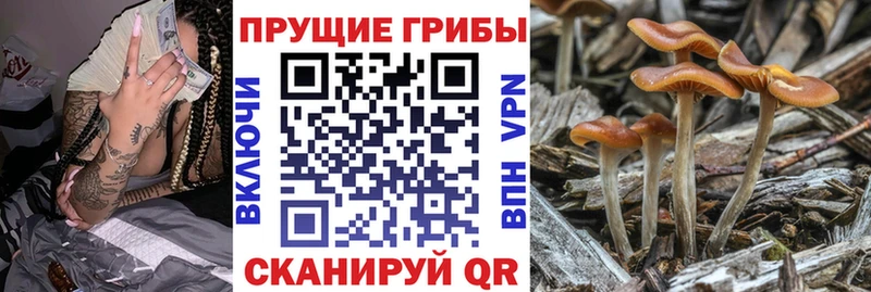 Галлюциногенные грибы GOLDEN TEACHER  Баймак 